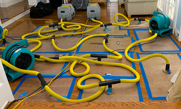 Professional Sewage Cleanup technician working in Bloomdale, OH